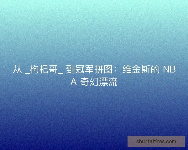 从 _枸杞哥_ 到冠军拼图：维金斯的 NBA 奇幻漂流